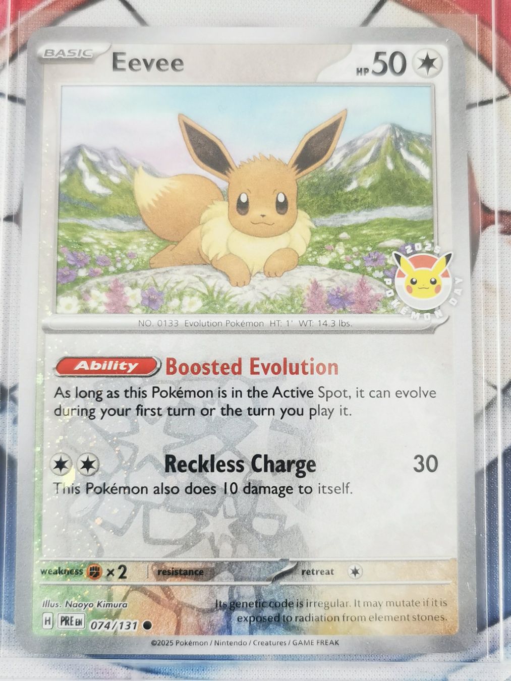 Pokémon Carte collezionabili: Pokemon Eevee Promo EN – Nuovo (secondo la descrizione) da Cousset venduto da VstarCards