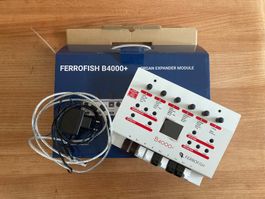 Ferrofish B4000+ Orgel Expander