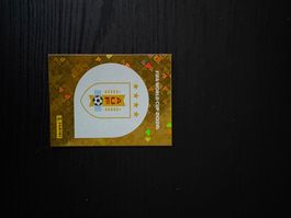 Panini WM 2026