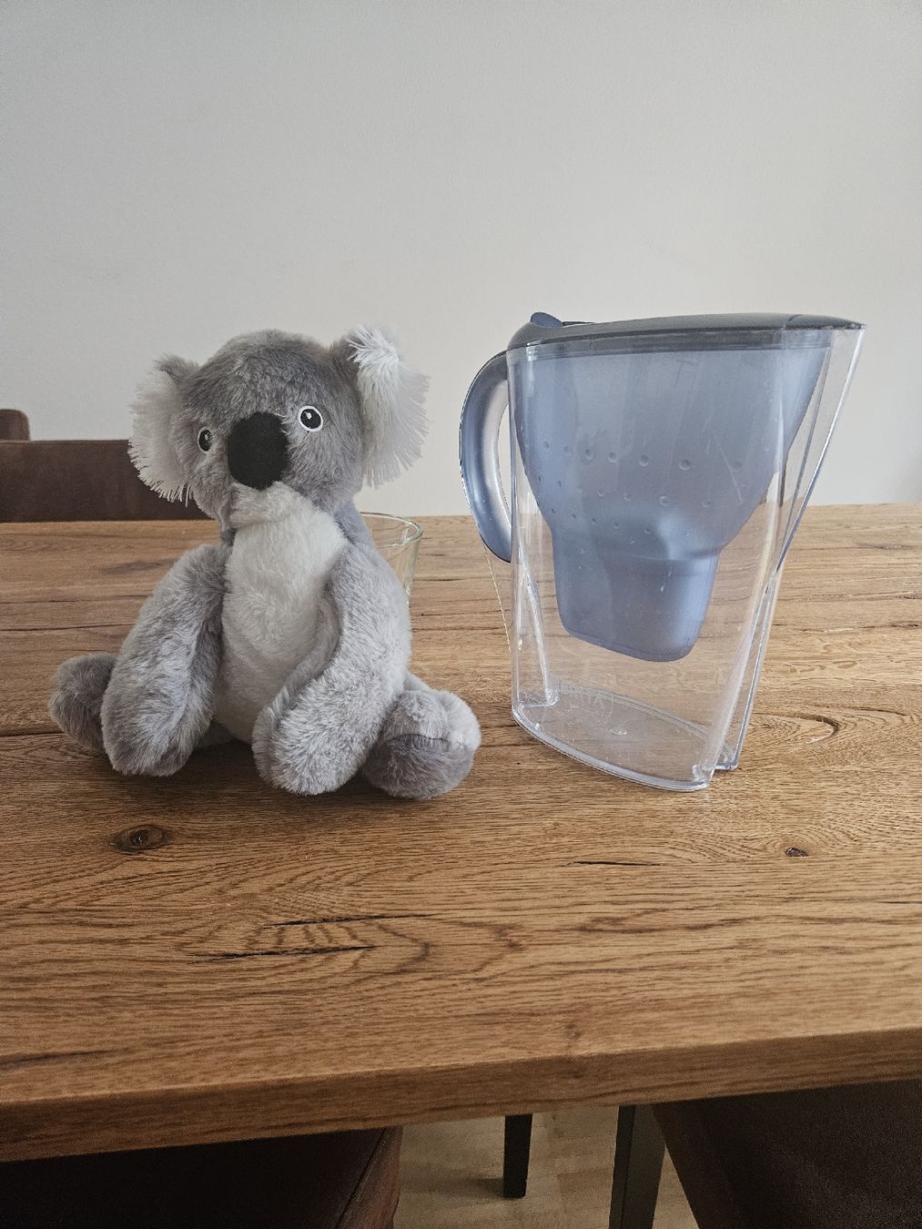 Jouets: Plüschtier Koala neu – Neuf (Voir description) à Zürich par zweistein03 1