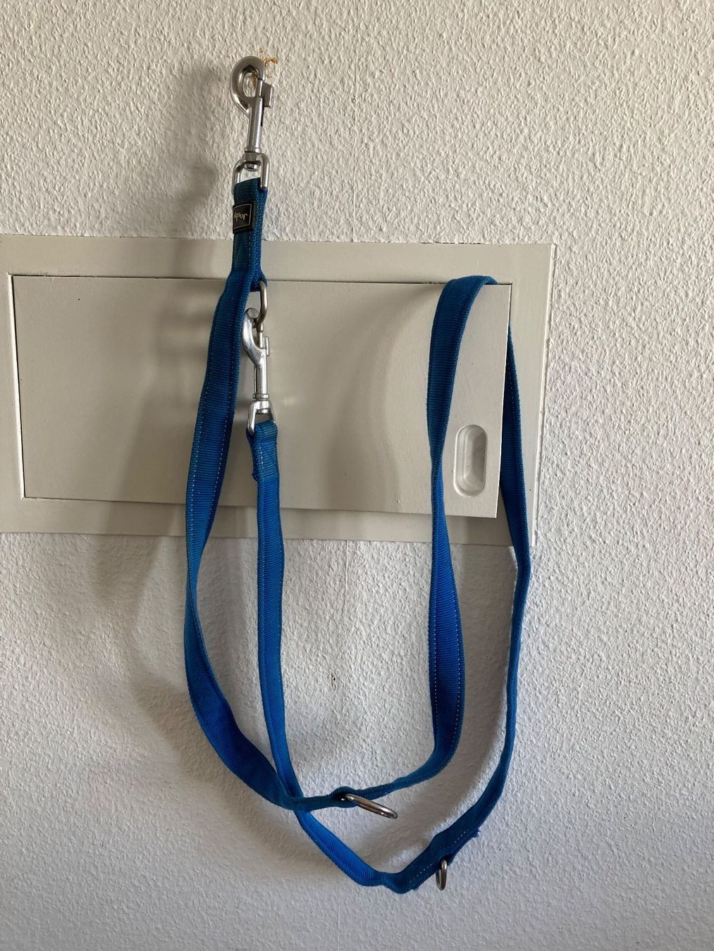Collier et laisse: Hundeleine blau – D'occasion à Frauenfeld par Koffer12