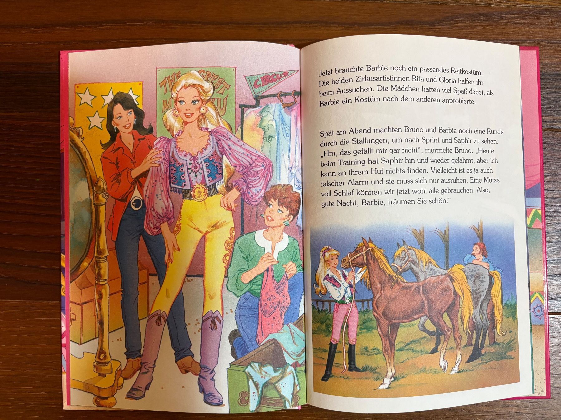 Libri: Barbie Bücher Set mit 18Stk. – Usato da Dietikon venduto da dragony89 7