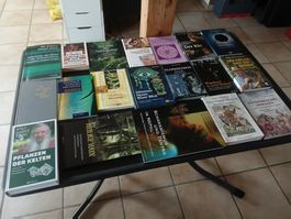 22 Schamanen Heiler Bücher