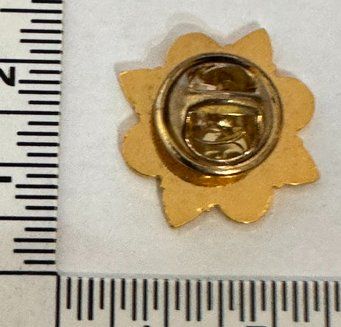 Plaketten & Abzeichen: 1 Pin Polizei  "Garda" Irland – Neu (gemäss Beschreibung) aus Zürich von Policepatch 1