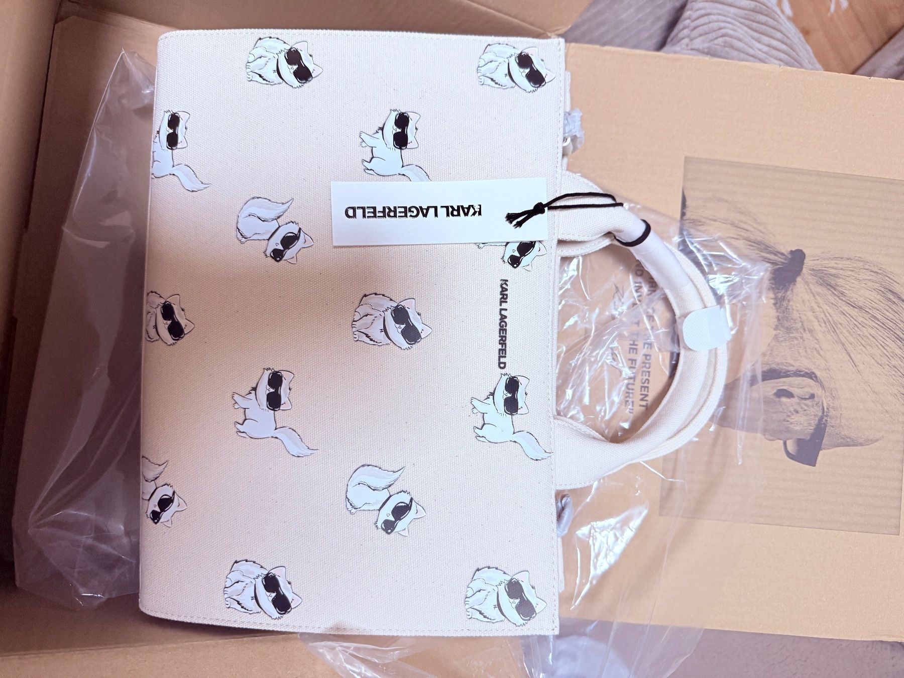 Sacs femmes: KARLLAGERFELD bag – D'occasion à Wängi par mis_dr8f 1