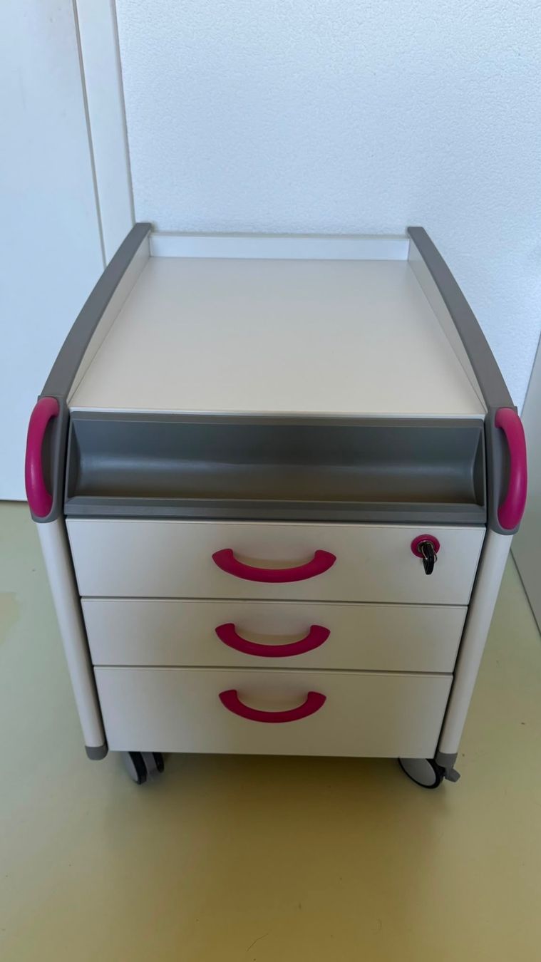 Moll Eléments de bureau: Moll Korpus / Rollcontainer – D'occasion à Bettlach par Crita 1