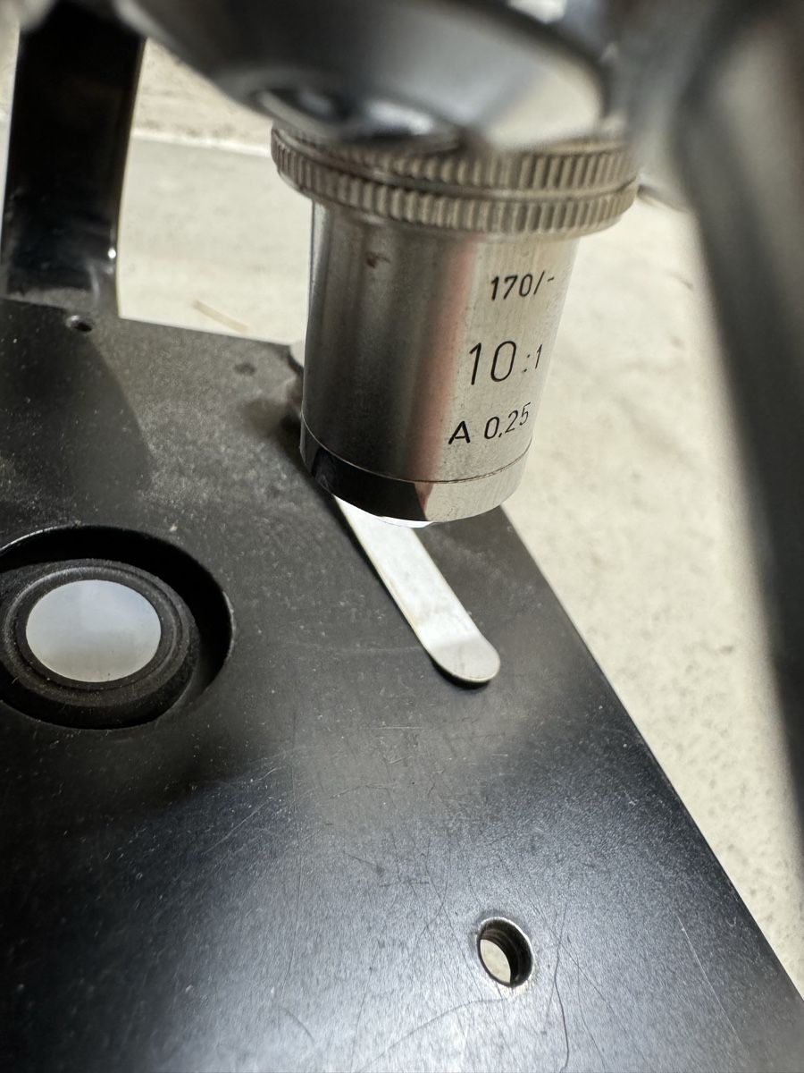 Leitz Microscopi: Ernst Leitz Wetzlar Mikroskop – Usato da Lupfig venduto da mirago_88 8