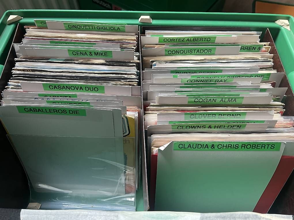 Dischi in vinile: Ca. 3000 Singles Platten – Usato da St. Gallen venduto da Andrina20 4