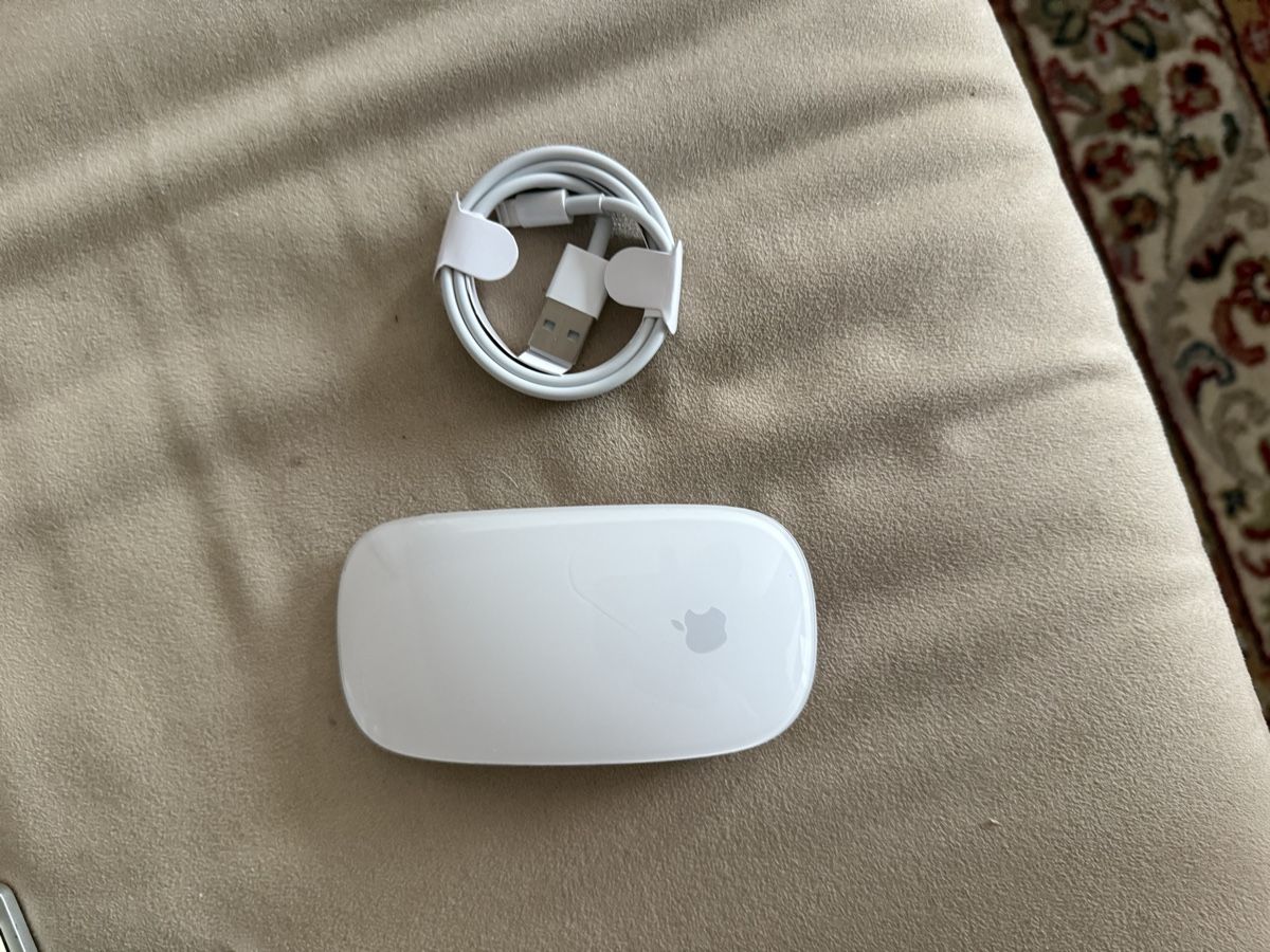 Apple Mouse: Magic Mouse 2 – Usato da Schattdorf venduto da Kofi57