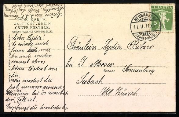 Cartes postales: Schaffhausen, Totalansicht, Rahmen, Auen – D'occasion à Berlin par bartko-reher 1