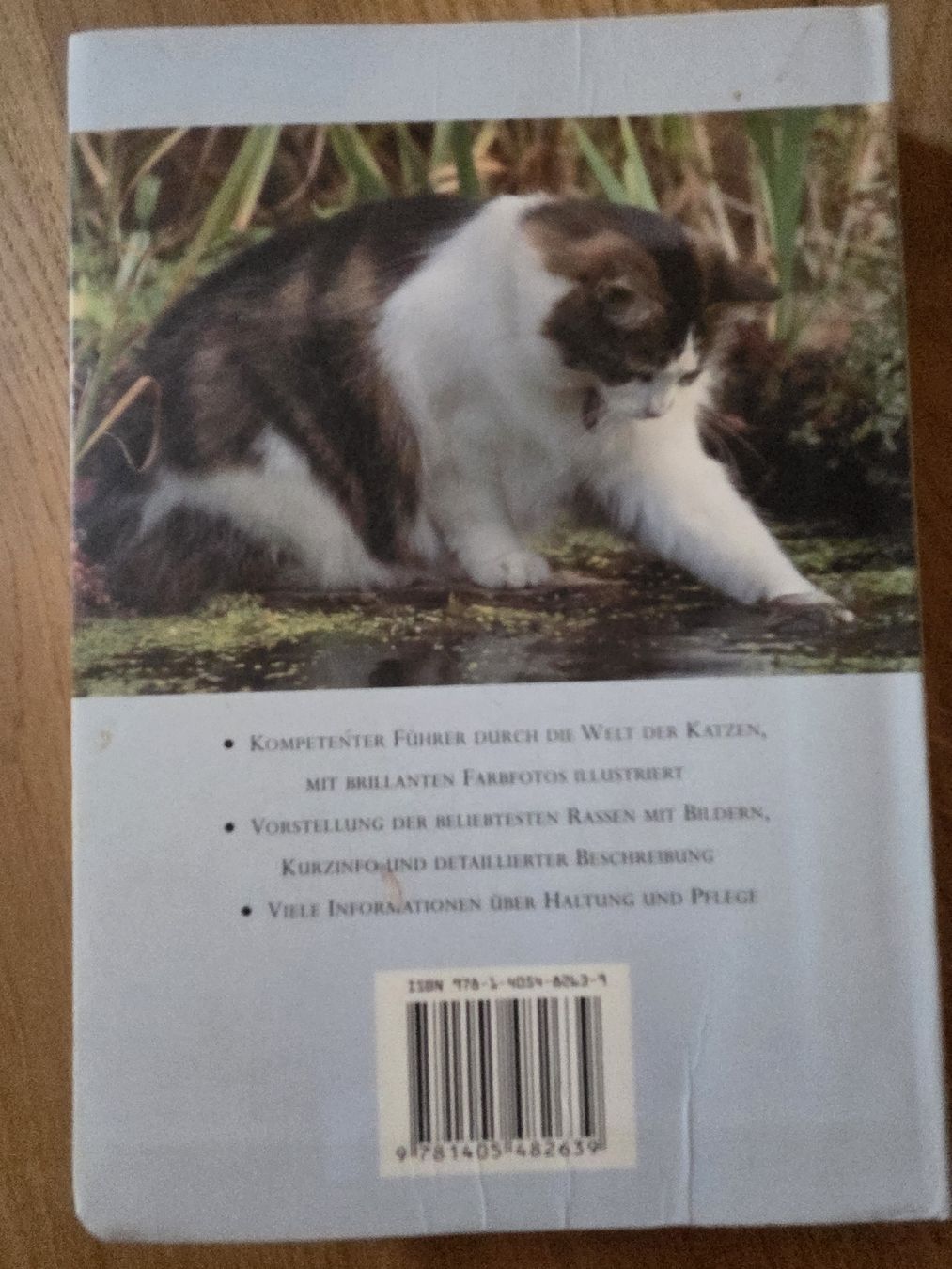Livres: Katzenbücher – D'occasion à Rafz par leoncupra 1
