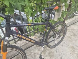Raleigh Mountainbike gebraucht dunkelviolett Herren 26 Zoll