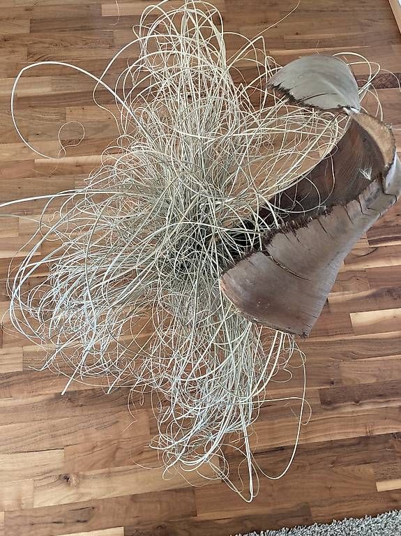 Tutte le decorazioni: Deko-Arrangement aus Naturmaterialien  Boho – Usato da Appenzell venduto da rikkeli07 1