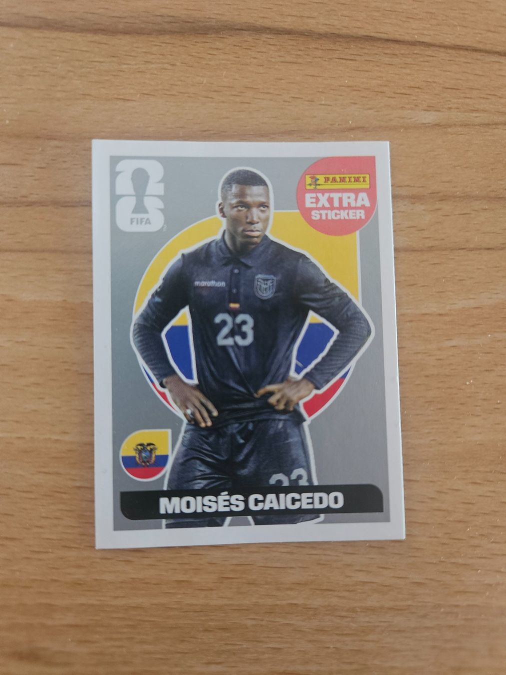 Panini Carte collezionabili: Panini WM 2026 Extrasticker – Usato da Olten venduto da Demitra38