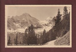 Mürren - BREITHORN - Tschingelhorn - 1916