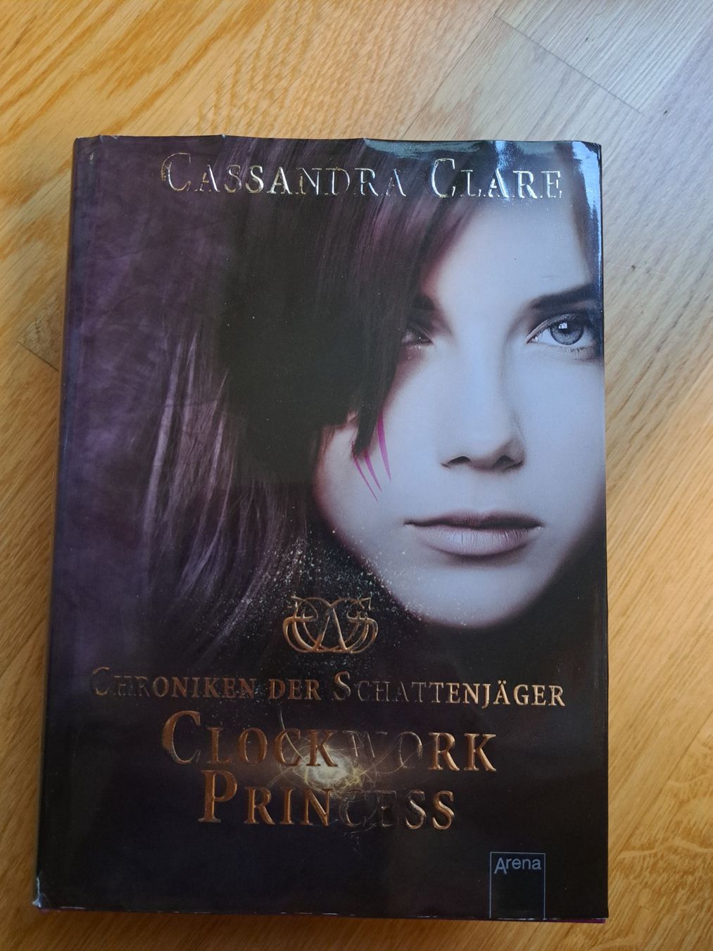 Libri: Fantasyroman Cassandra Clare – Usato da belp venduto da engel94