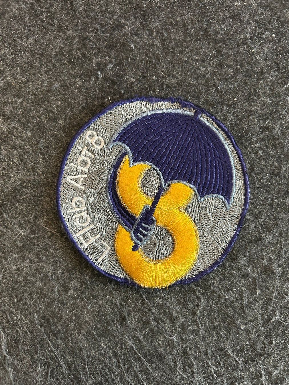 Schweizer Armee Placchette & Badge: Badge A95 L Flab Abt 8 – Usato da Berikon venduto da DGC-1995
