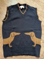 Dackel vest dachshund, dog, sausage dog