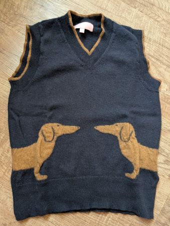 Dackel vest dachshund, dog, sausage dog