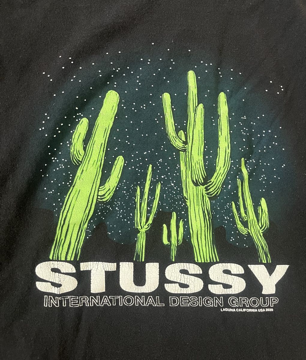 Stüssy T-shirt: Stüssy cactus shirt – Usato da Mönchaltorf venduto da Rofi7 2