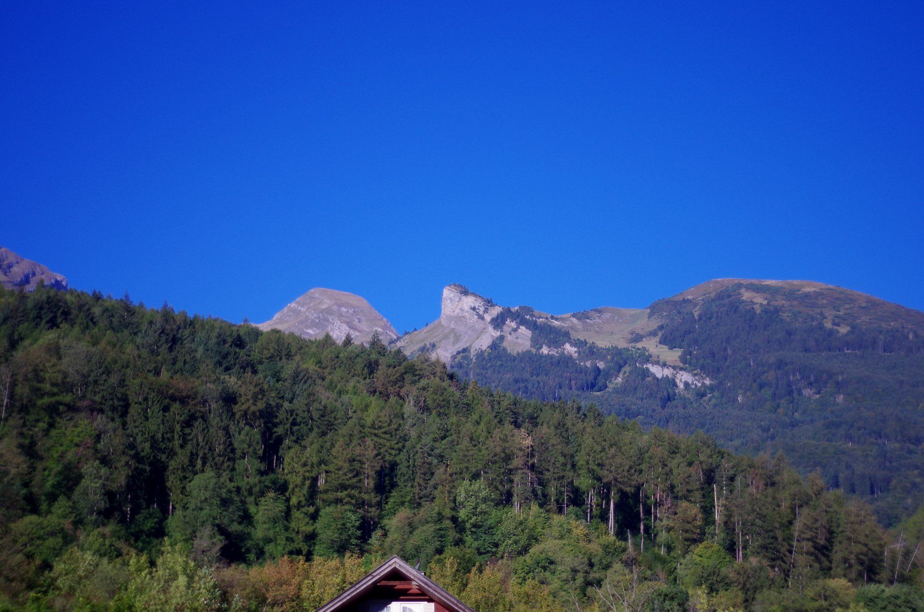 Pentacon Obiettivi: Objektiv Pentacon auto 50 / 1.8 – Difettoso da Sevelen venduto da Wettlersevelen