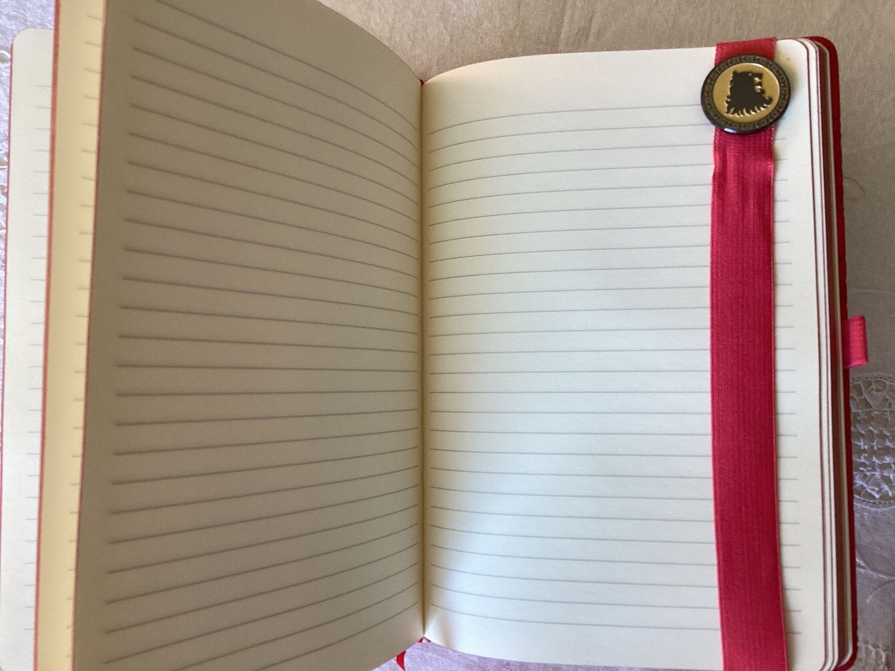 Blocchi: 2 carnets de notes – Usato da Pully venduto da claddagh 2
