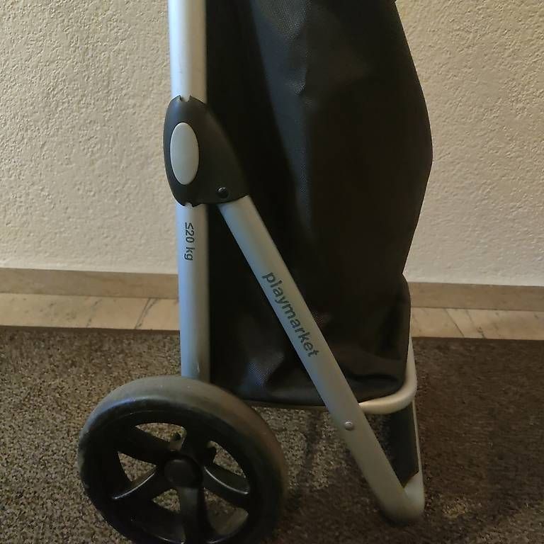 Altro per la casa: Carrello per la spesa 25 kg – Usato da Losone venduto da mar_n5ds 4