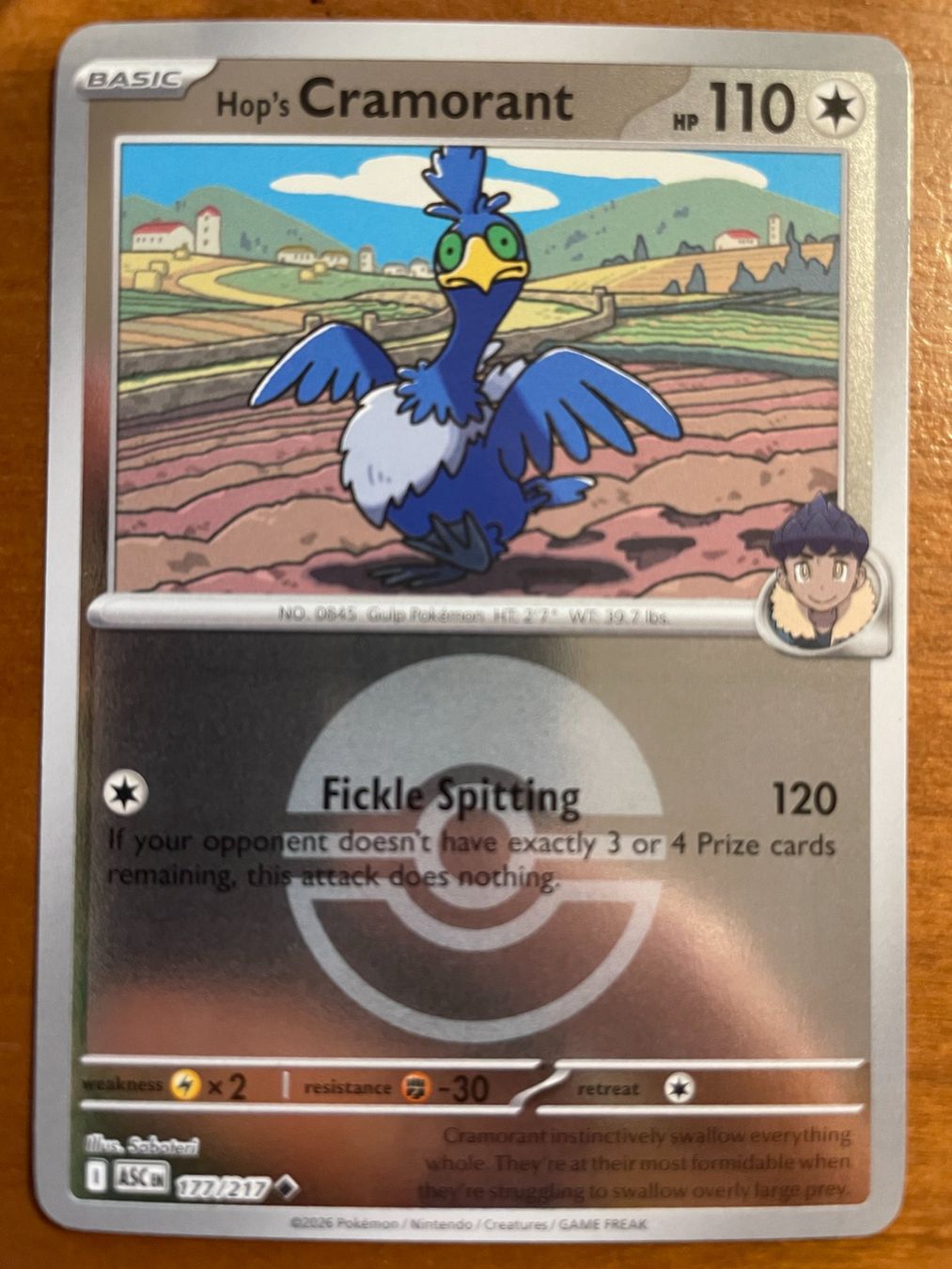 Pokémon Carte collezionabili: Pokemon Hop's Cramorant Reverse (Versand gratis) – Nuovo (secondo la descrizione) da Chur venduto da Angerson