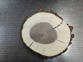 Nussbaum Holz Baumscheibe