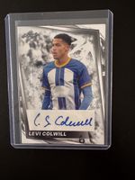 Levi Colwill Autogramm Leaf