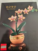 Orchideen-Modell – versiegelt