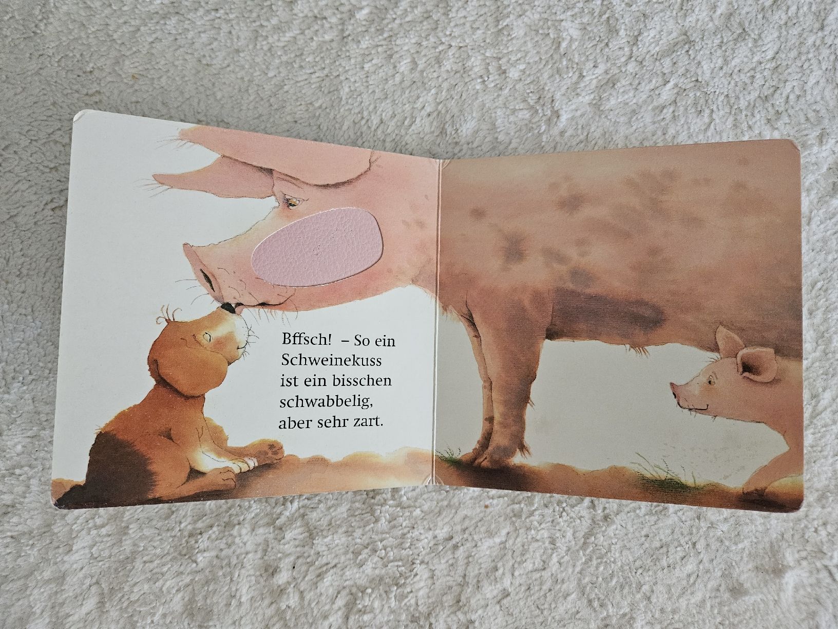 Libri: Baby Fühlbuch "Noch ein Kuss" – Usato da Zürich venduto da Kris8050 4