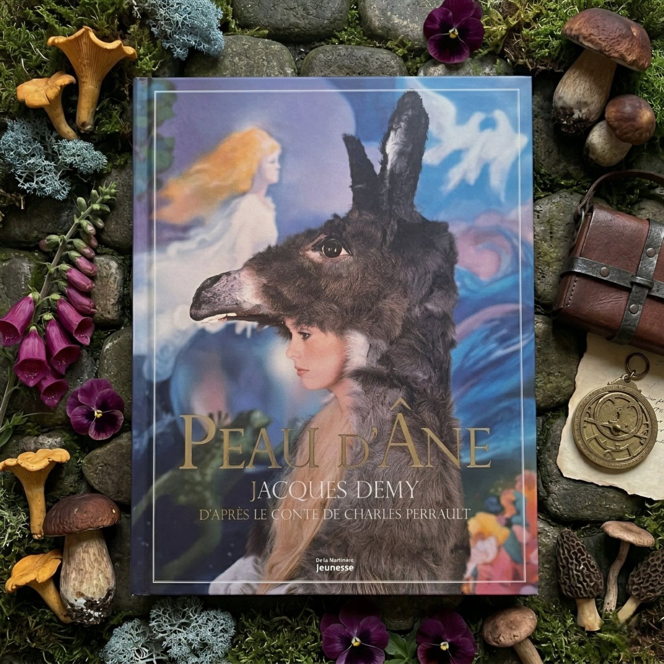 Libri: Peau d'Âne - Jacques Demy. Tranche dorée. – Usato da Sion venduto da XeniyaX