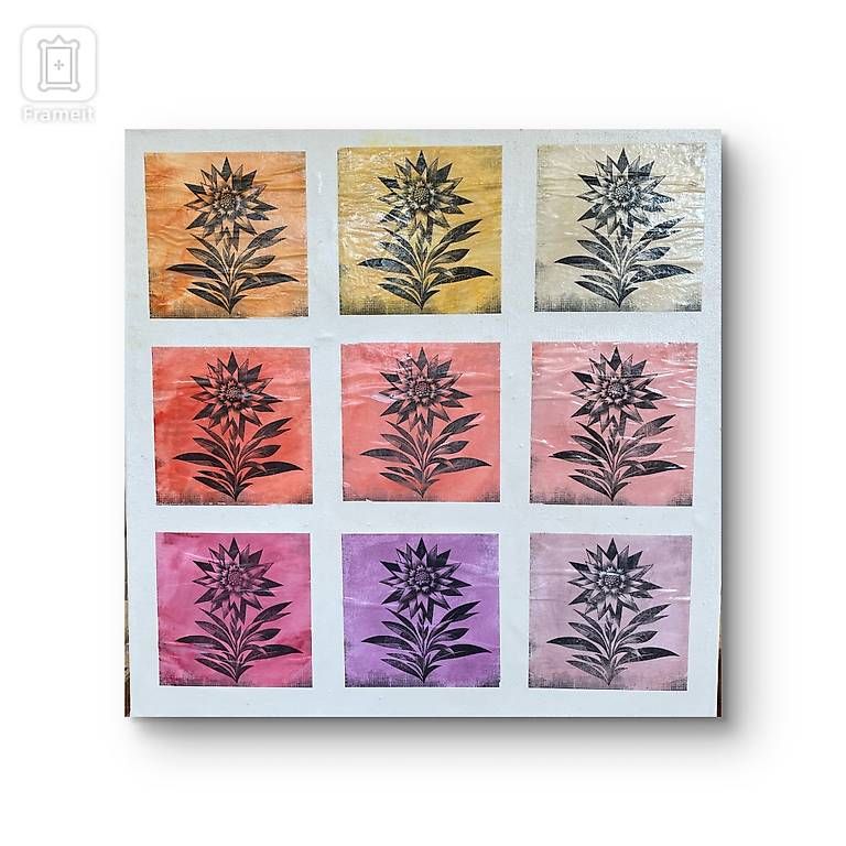 Foto & Immagini: Bild "Edelweiss" – Usato da Spreitenbach venduto da AjoTrade