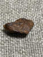 Twannberg Meteorit direkt vom Finder 100% Garantiert Echt