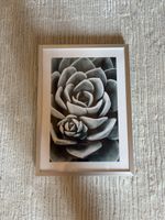 Dekobild mit Rahmen – Sukkulente – 31.5 × 22.5 cm