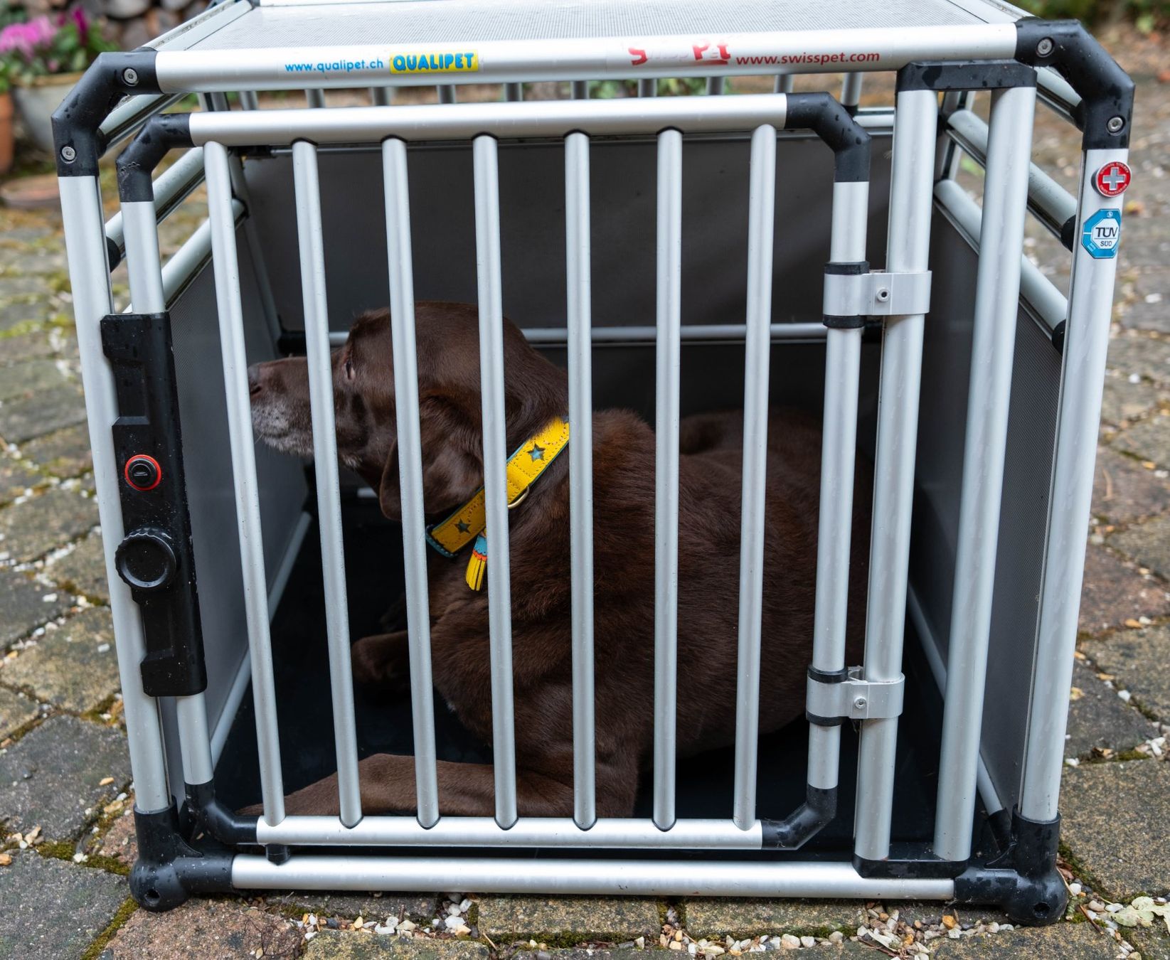 Swisspet Gabbie, trasporto & Sicurezza: Hundetransportbox Aluminium – Usato da Beinwil am See venduto da noahanna 1