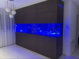 Aquarium 