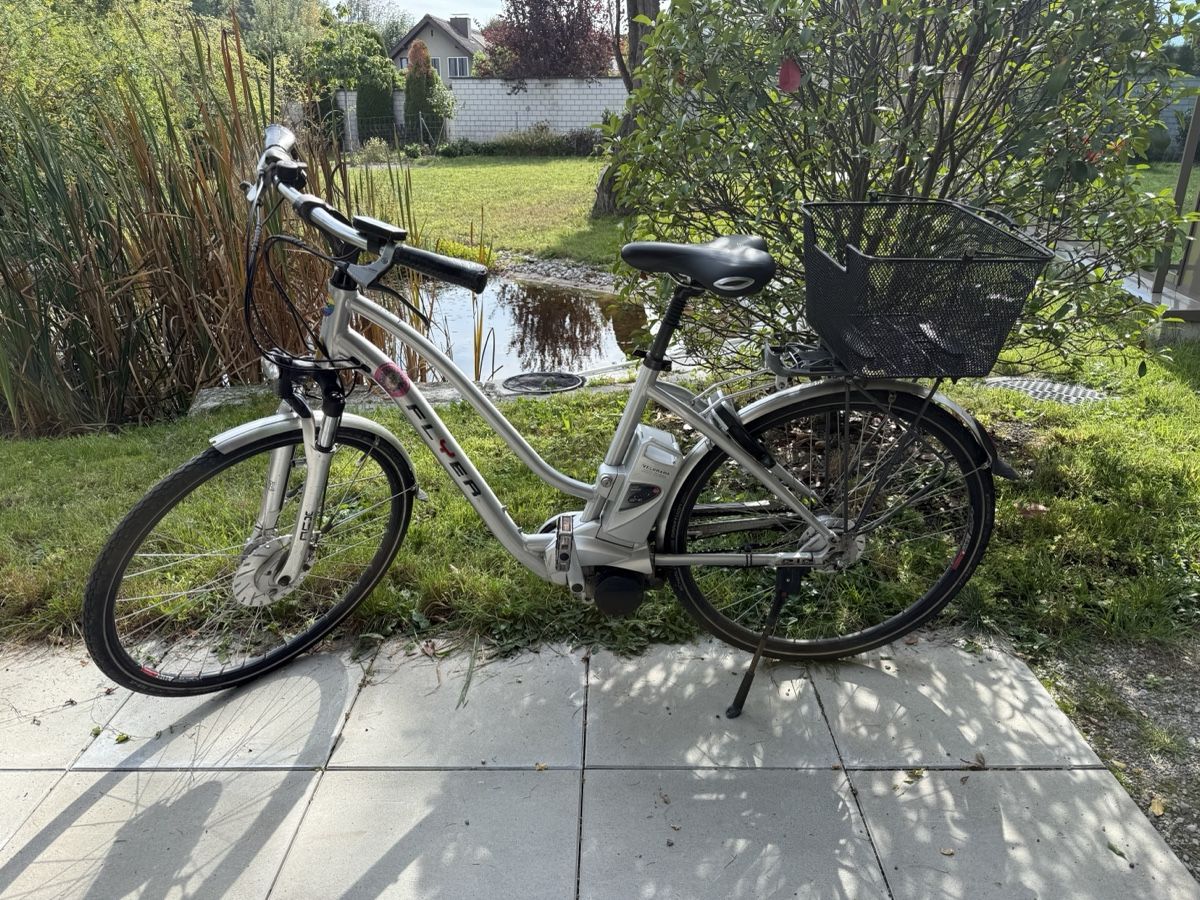 Flyer Biciclette: E-Bike Flyer  – Usato da Langenthal venduto da Nina_Leonie