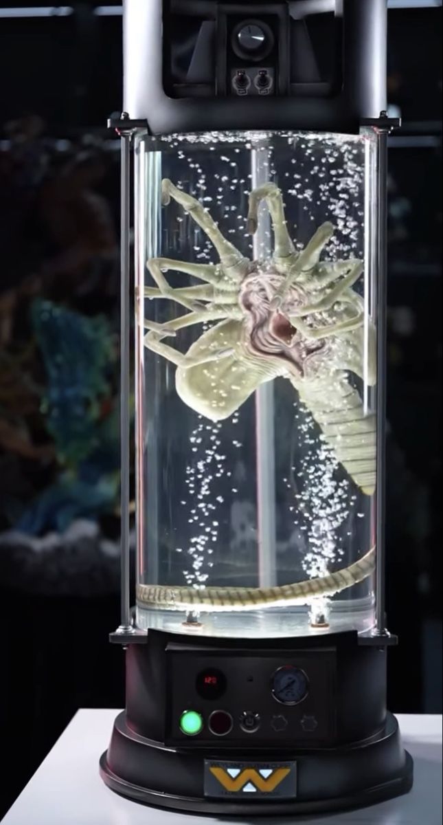 Figuren: Alien Facehugger Stasis Chamber Life Size 1/1 Statue – Neu und originalverpackt aus Zürich von Addii