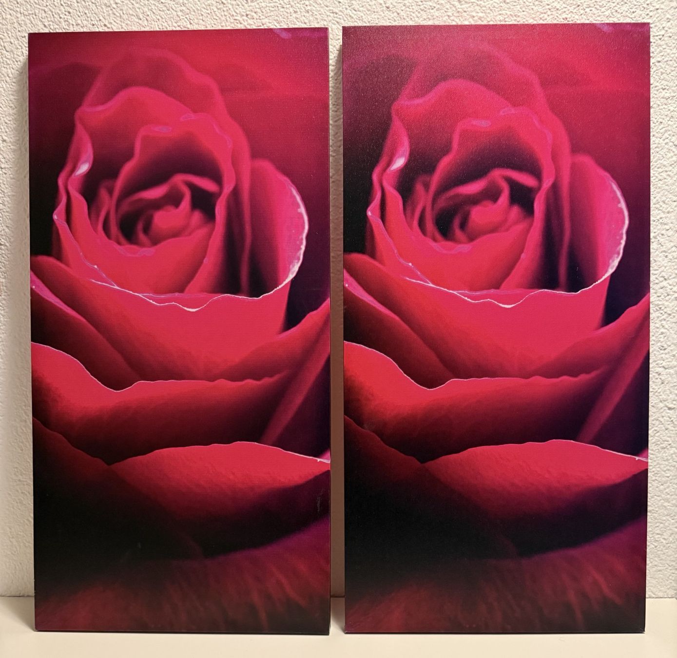 Foto & Immagini: 2x Bild mit Rose / rot / Grösse 80x40cm – Usato da Wangen b. Olten venduto da Chess78
