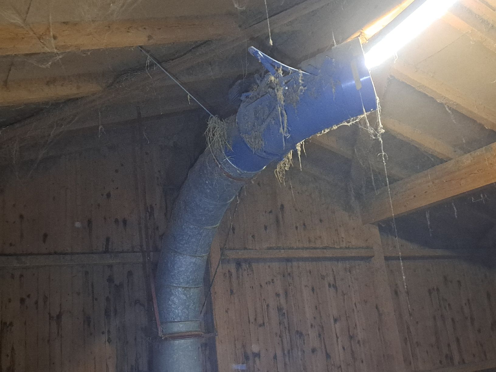 Tutte le macchine: Teleskopverteiler – Usato da Wettingen venduto da ML03 3