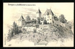 Künstler-AK Burgdorf, Blick zur Burg