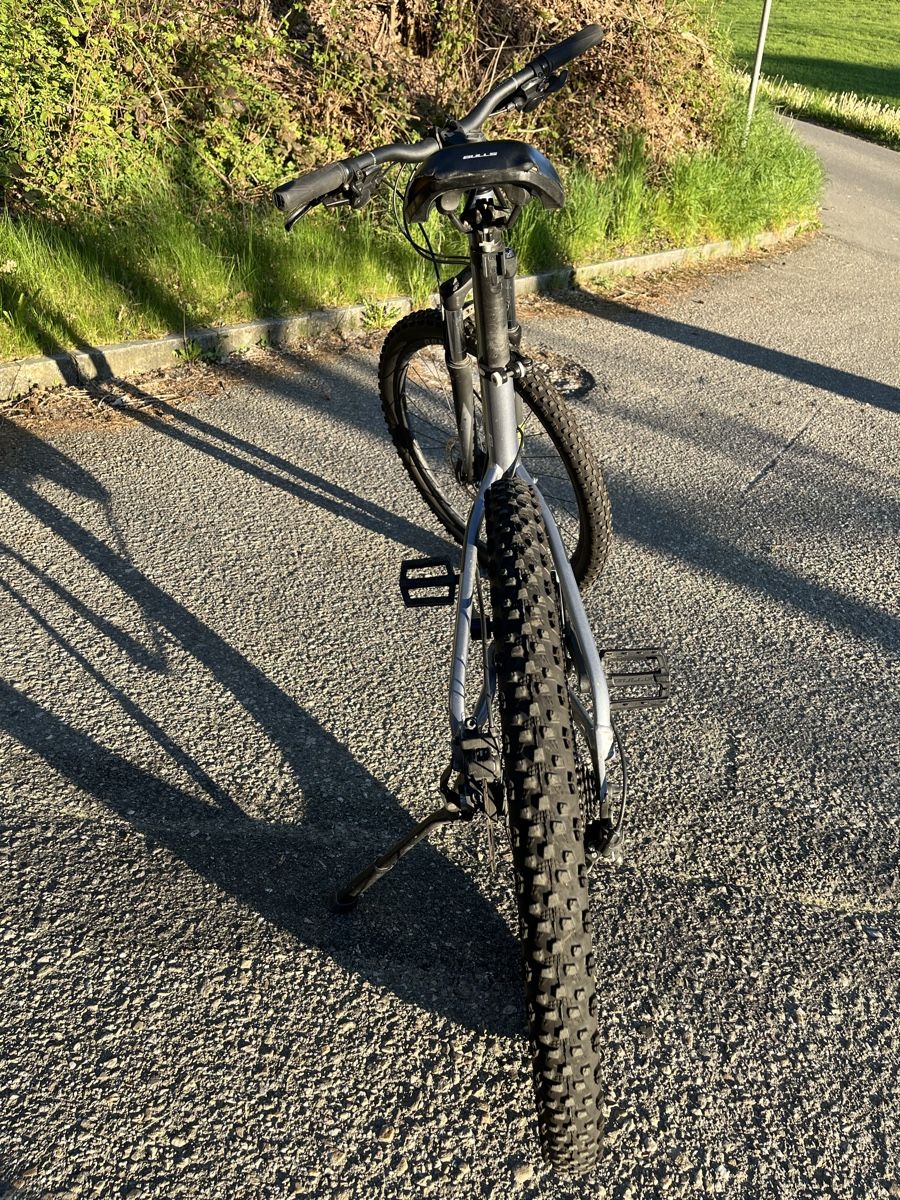 Bulls Biciclette: Fahrrad Bulls – Usato da Rohrbachgraben venduto da tlu_rg8r 2