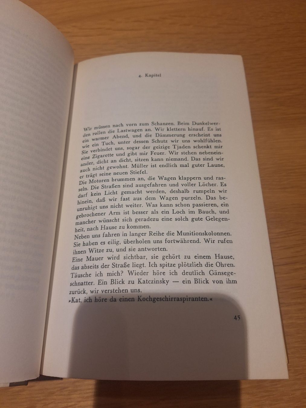 Bücher: Erich Maria Remarque Buch Doppelband – Gebraucht aus Wanzwil von chlinih93 2