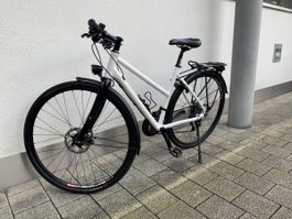 Damenvelo Bayard Adventure Race Lady 48cm - top ausgestattet