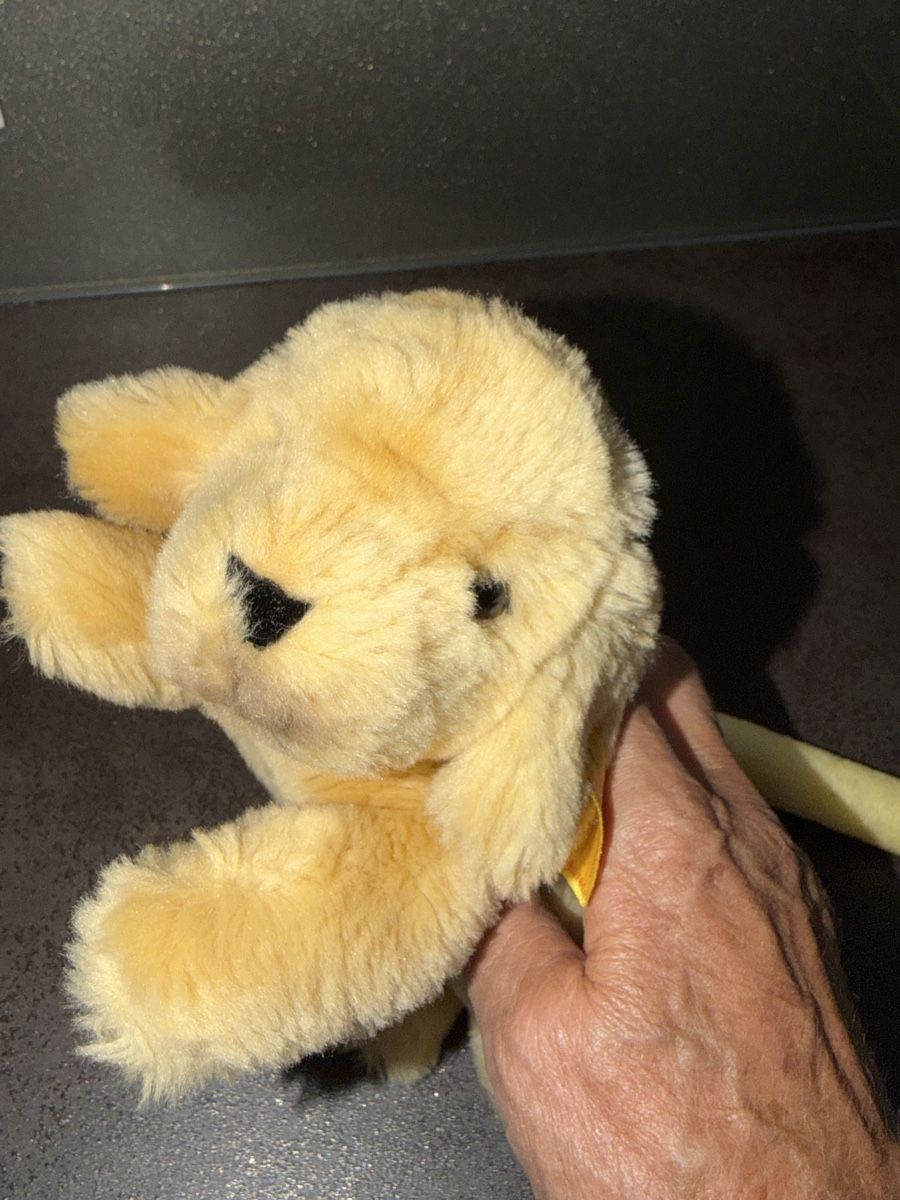 Steiff Jouets: Plüsch Hund STEIFF  – Neuf (Voir description) à Dornach par samuti 2