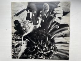 Stephan Eicher - Les Chansons Bleues - LP, 1983