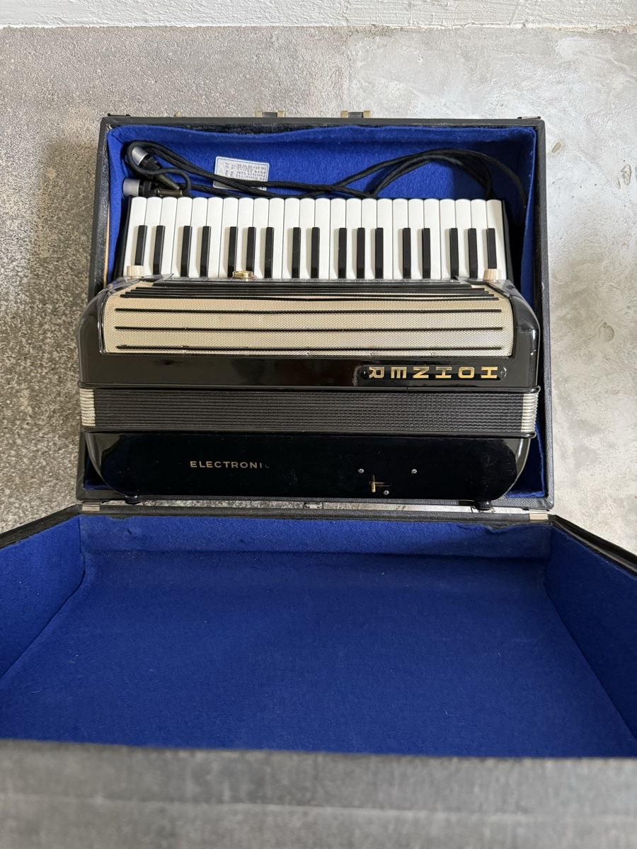 Strumenti musicali: Elektronium mit Röhrenverstärker – Difettoso da Herrliberg venduto da Bio3 6