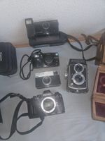 5x Vintage Kameras -  Nikon F-501 AF, Firstflex TLR, Kodak